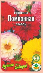 цв. одн. ГЕОРГИНА ПОМПОННАЯ СМЕСЬ / Агро Сад / НОВИНКА !!!
